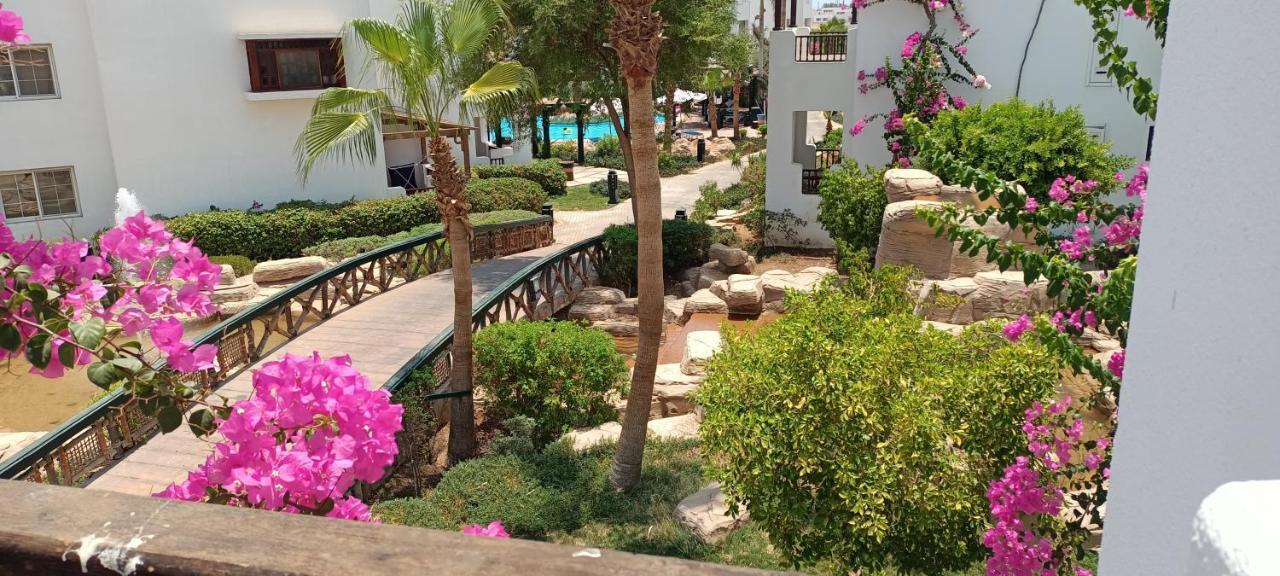 Deluxe Apartment Delta Sharm Kültér fotó